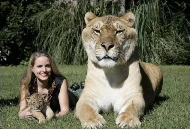Los 5 animales híbridos más curiosos
