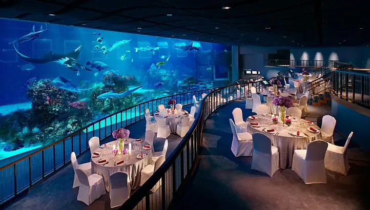 Acuario