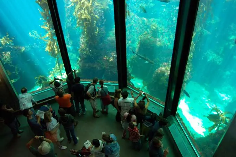 Acuario
