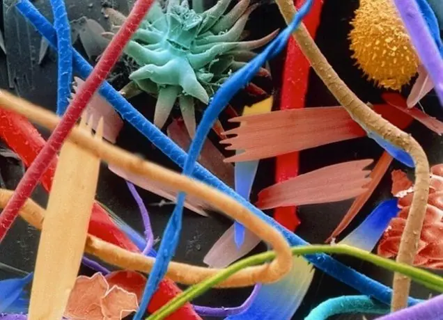 microscopio