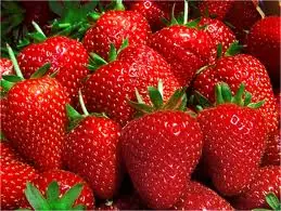 28 Trucos con los que puedes hacer que tus alimentos duren.