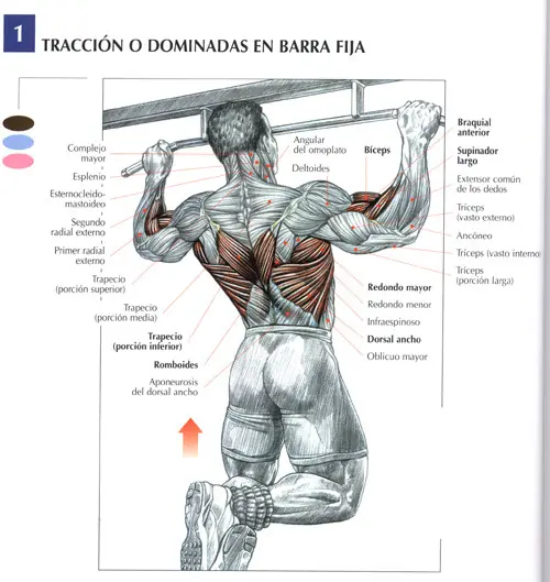 Queres mejorar tu cuerpo? TU puedes,Entra!