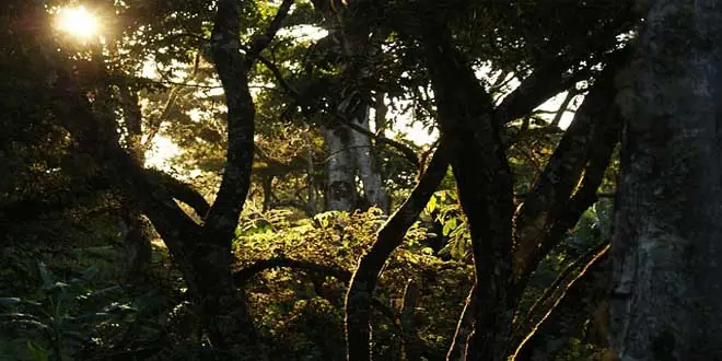 ESCALOFRIANTES