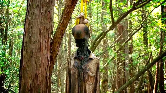 aokigahara