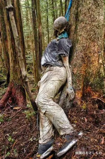 El bosque de Aokigahara - La meca de los suicidas (megapost)