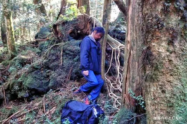 bosque