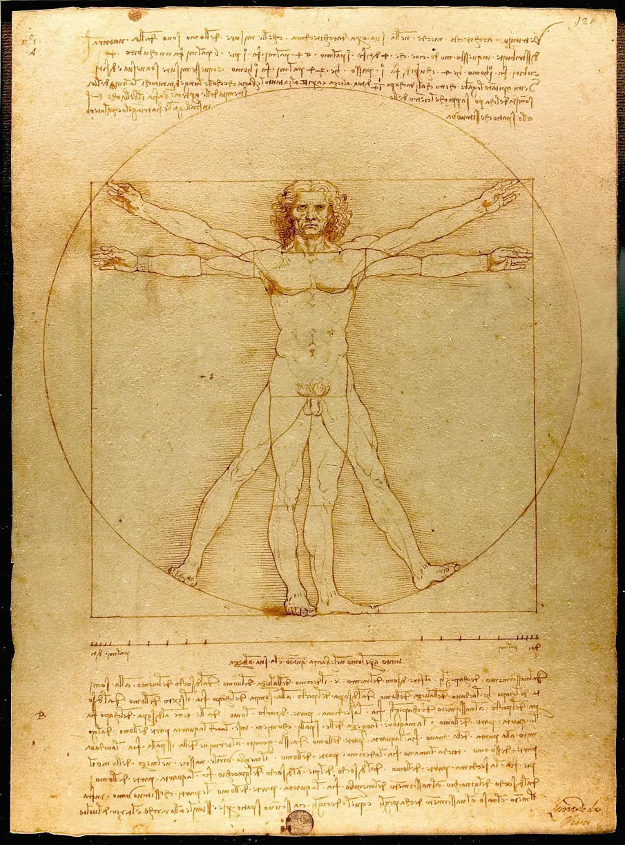 Simplemente Leonardo Da Vinci ... !