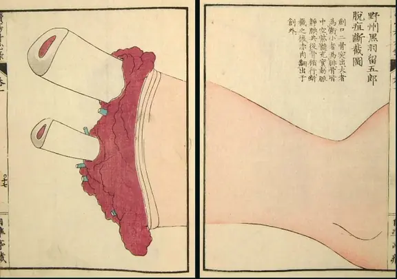 periodo edo