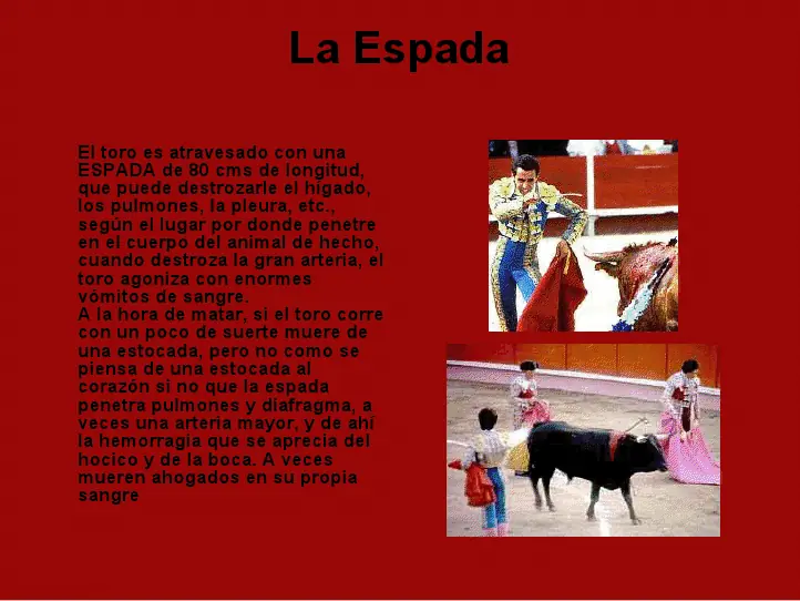 corridas de toros