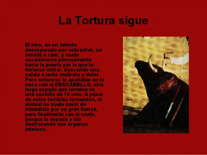 ¿Te Gusta La Fiesta Brava?