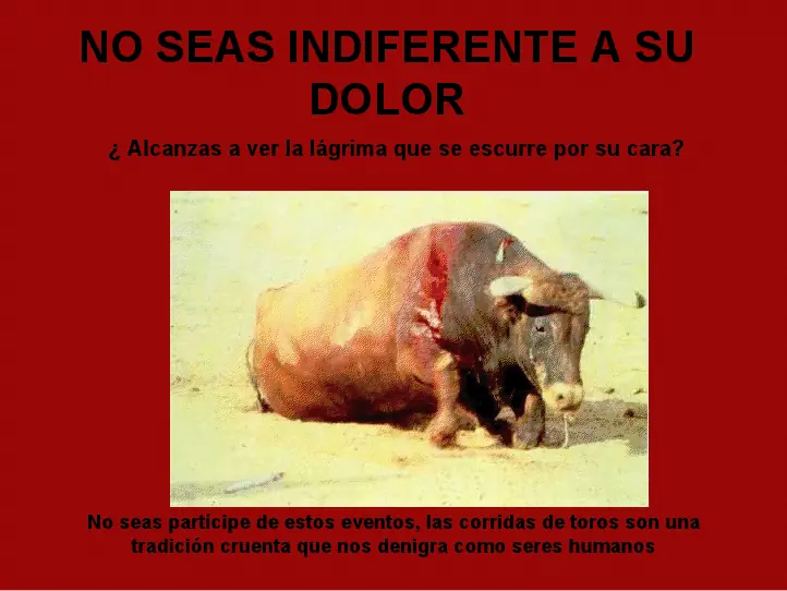 corridas de toros