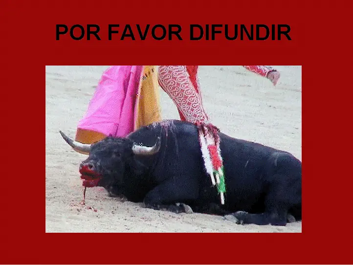 maltrato animal