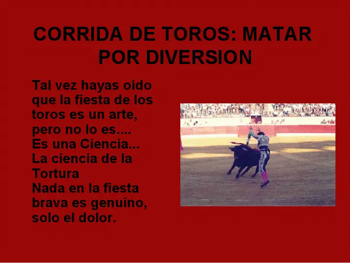 maltrato animal