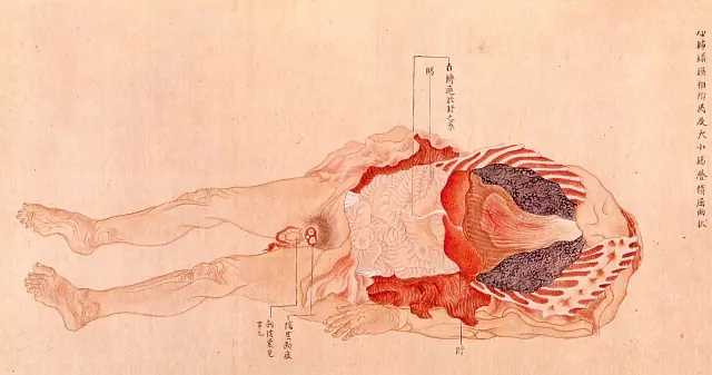 medicina
