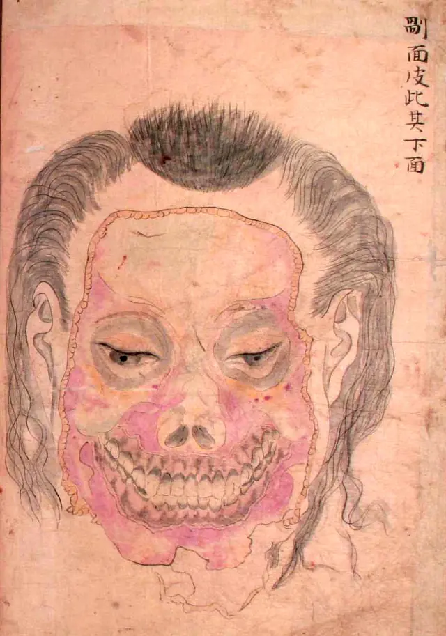 periodo edo
