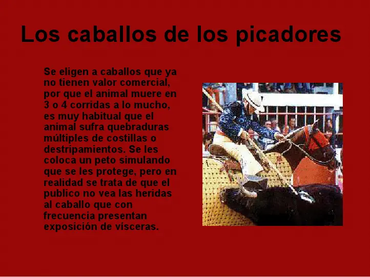 ¿Te Gusta La Fiesta Brava?