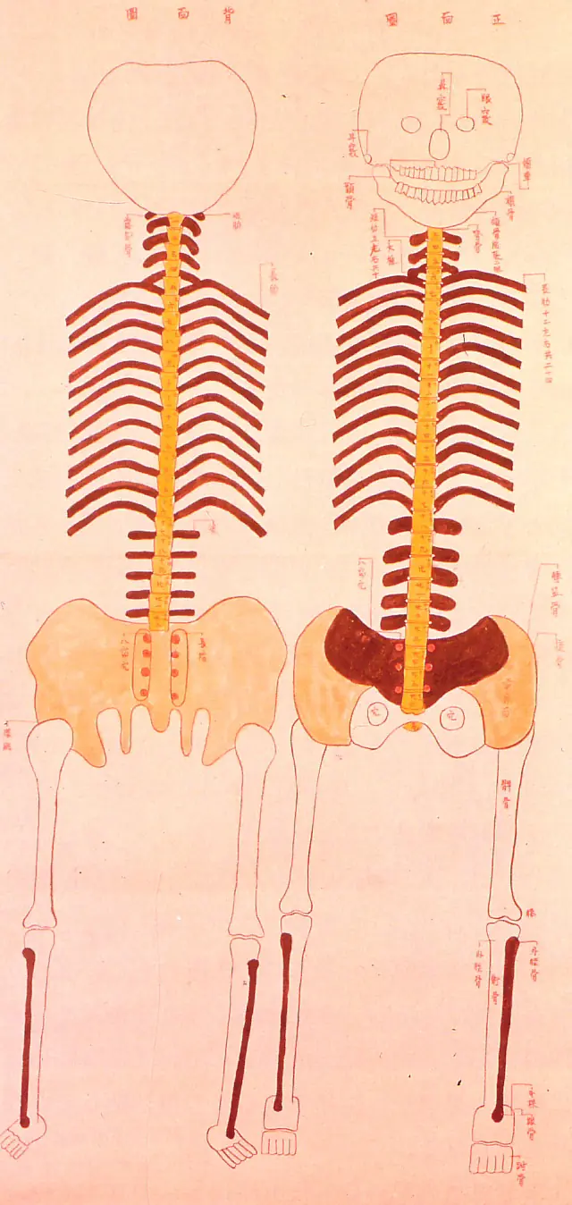medicina