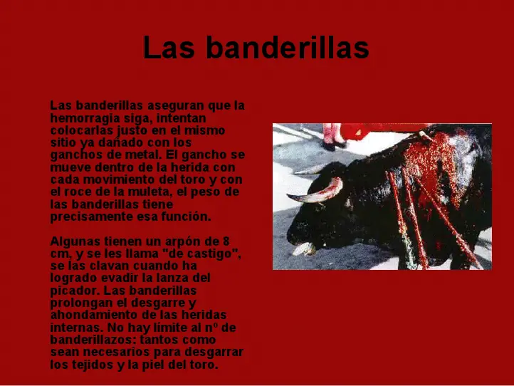 maltrato animal