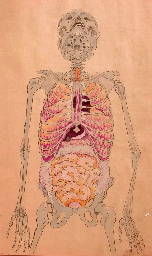 Ilustraciones anatómicas del período Edo de Japón