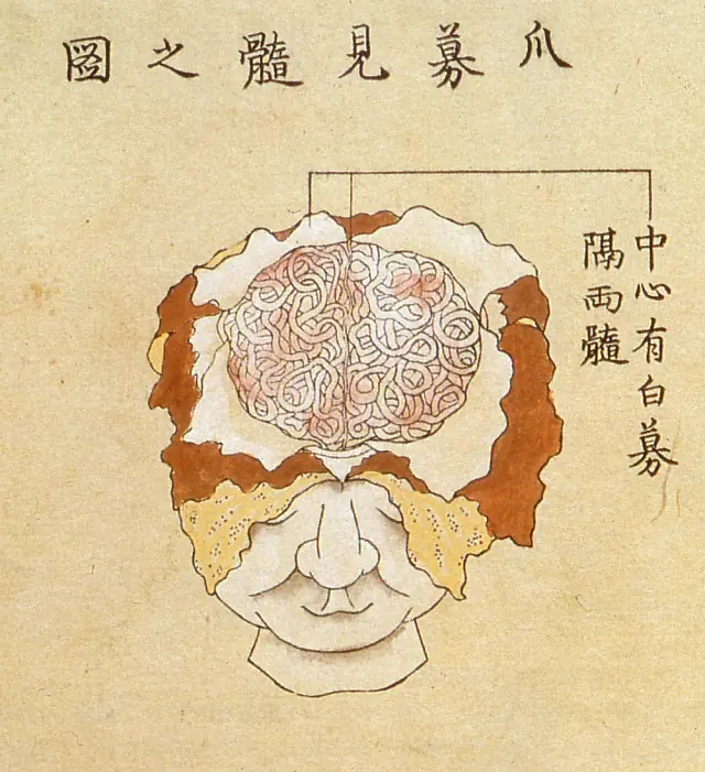 Ilustraciones anatómicas del período Edo de Japón