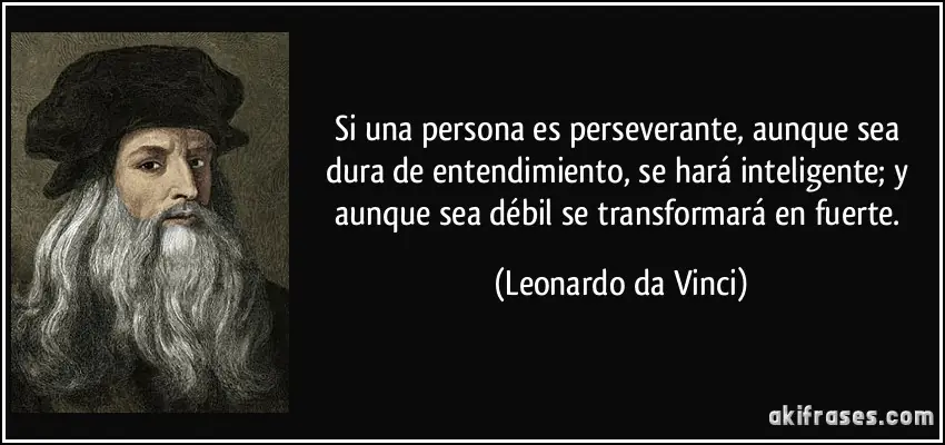 Simplemente Leonardo Da Vinci ... !