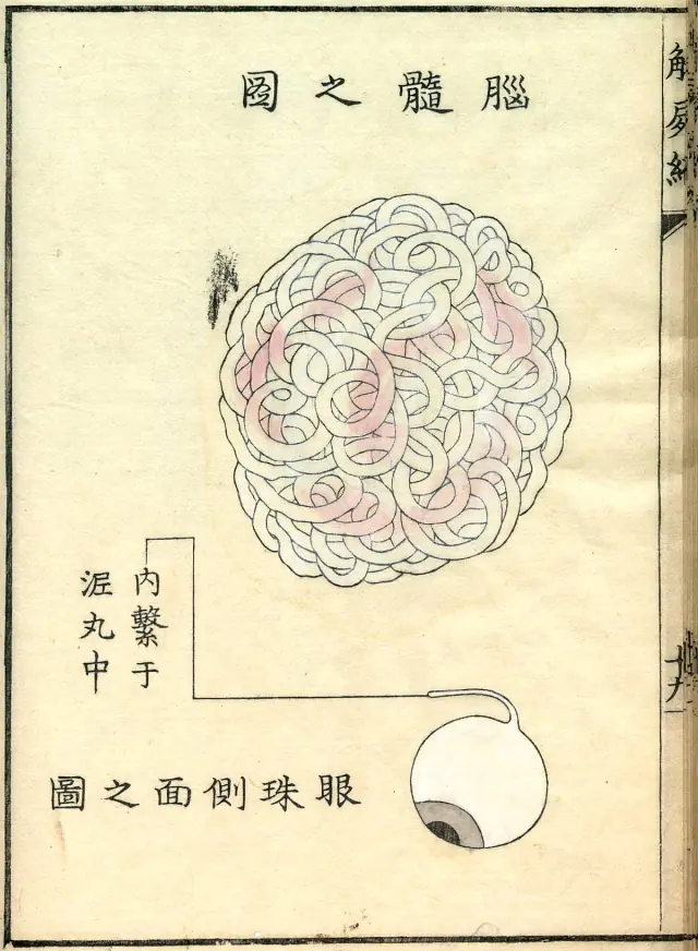 periodo edo