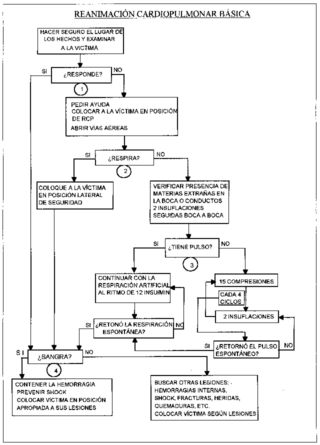 Todo lo que debes saber sobre el RCP[Resucitacion Cardio ]