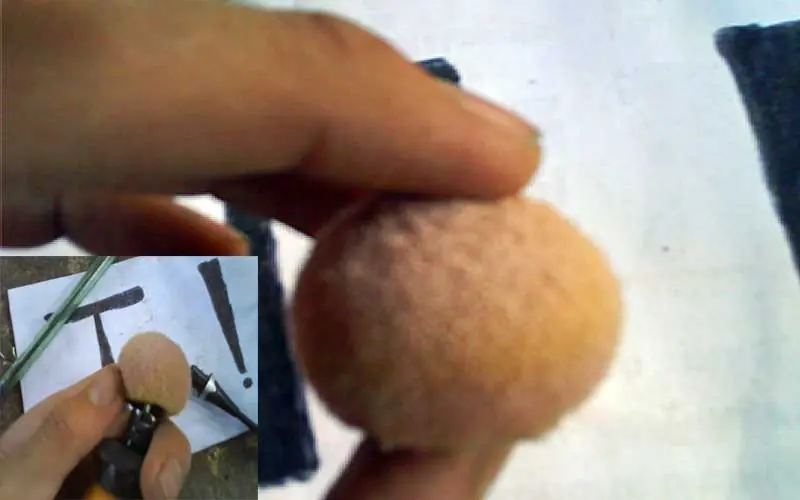 esponja