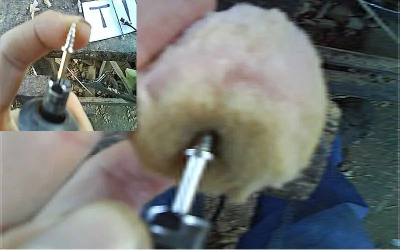 esponja de microfono