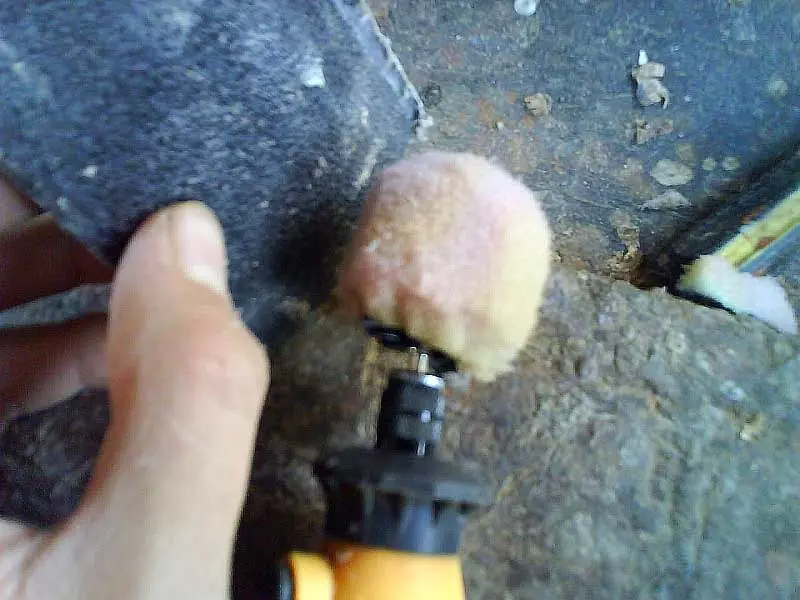 moldear esponjas
