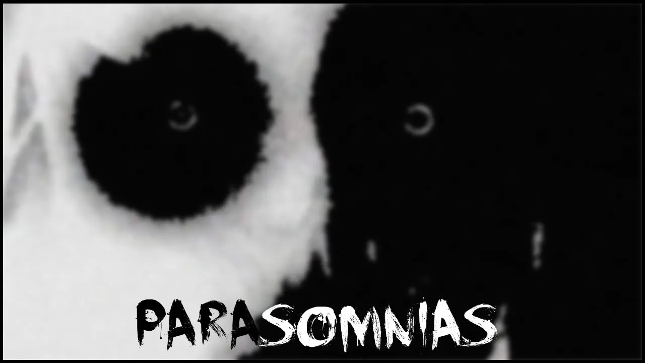 Parasomnias: Cuando la realidad supera a la ficción Parasomnias: Cuando la realidad supera a la ficción