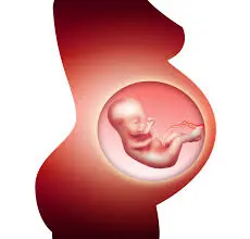 madre soltera la realidad (por que mi hermana es una)