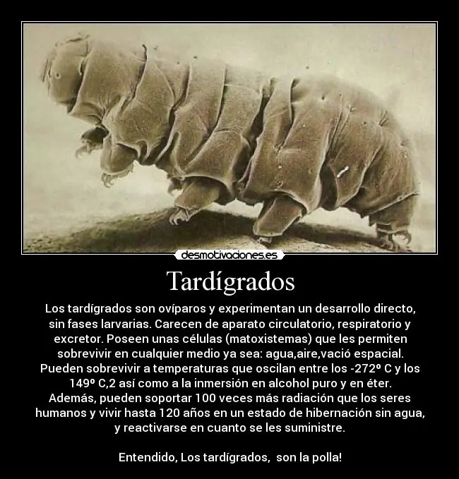 resistentes
