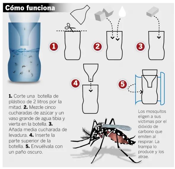 trompada