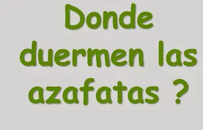 Las azafatas en los aviones.