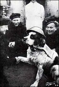 2º Guerra Mundial: Héroes no humanos famosos.