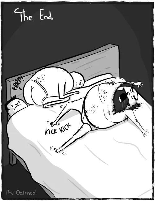 Si mis perros fuesen un par de hombres de mediana edad