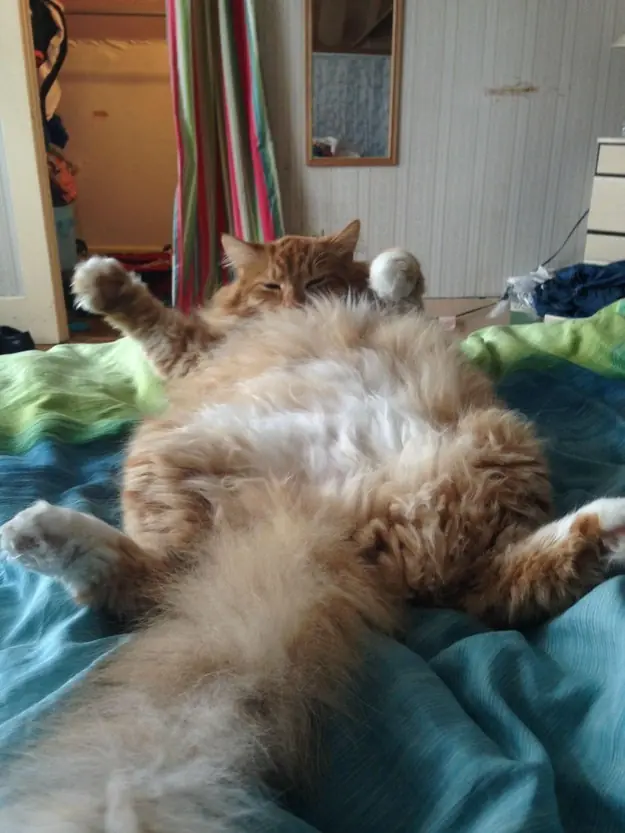 lindos