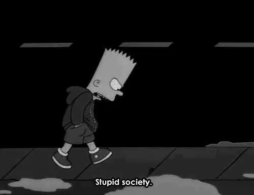 estupido