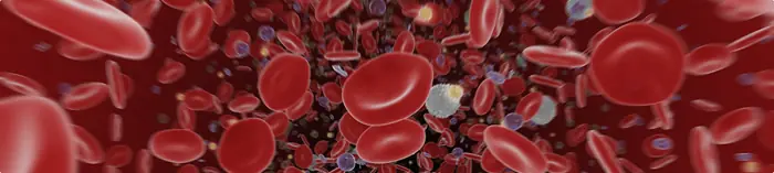 La sangre en gif e imagenes