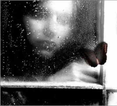 Lluvia mágica, renovadora, misteriosa y melodía natural