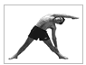 tipos de yoga
