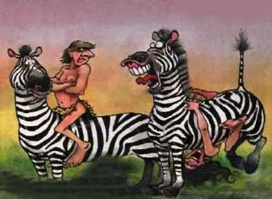 Humor de medianoche...imagenes