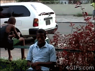 Gifs