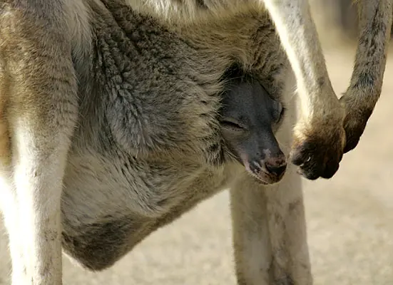 Las respuestas a tus preguntas más comunes.