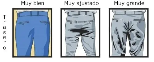 visuales