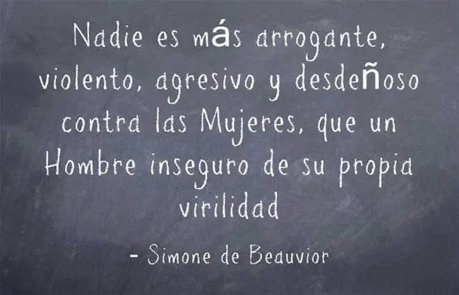 El feminismo y la falacia MMVG