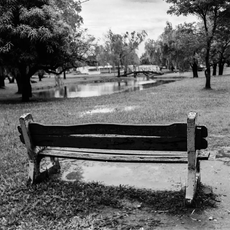 blanco y negro