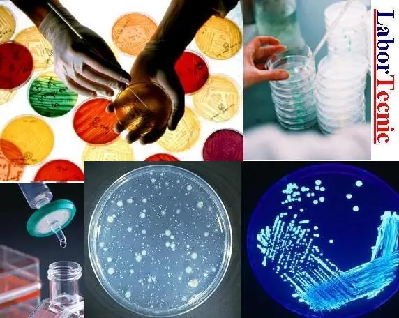 especialidades medicas