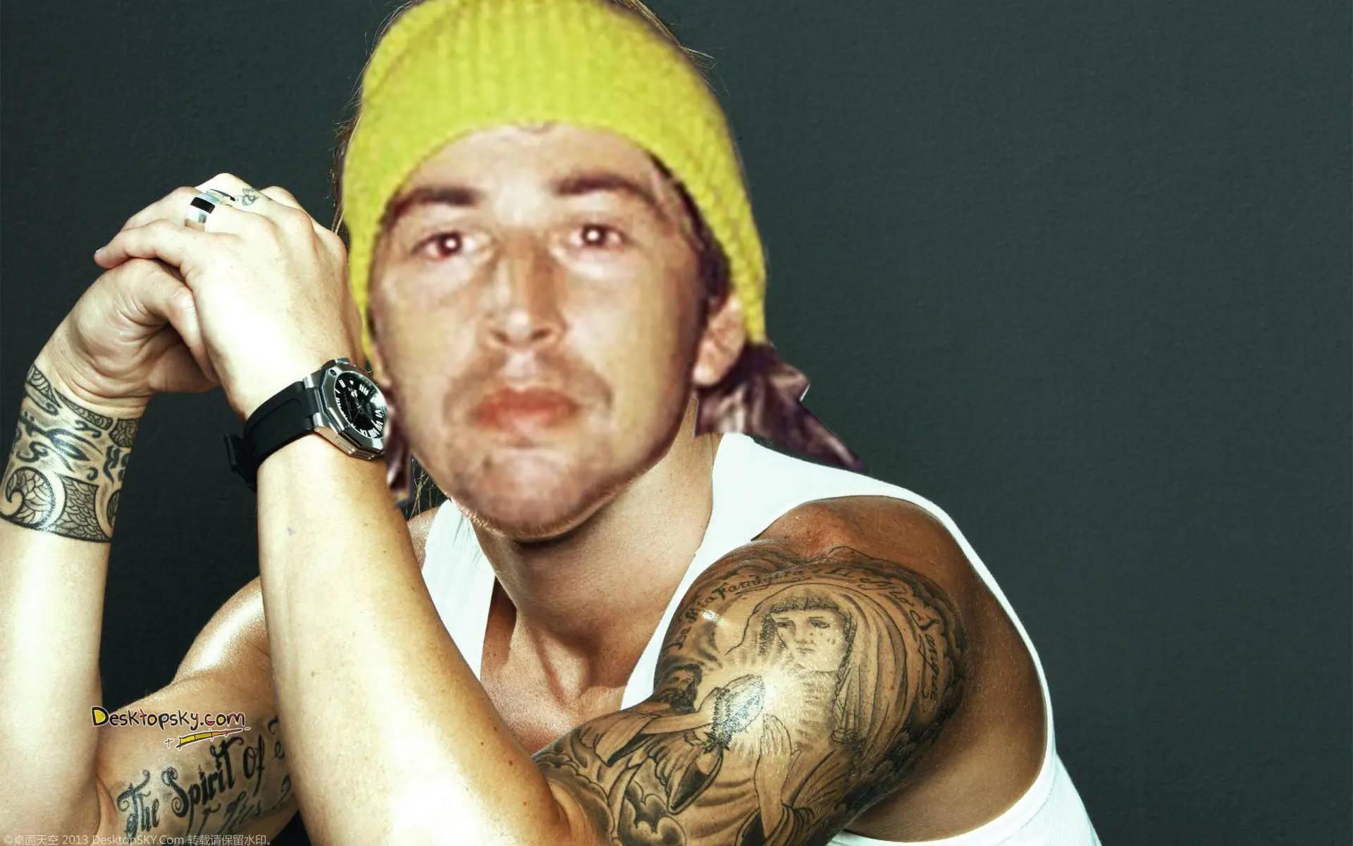 vida vida